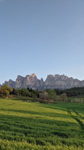 Preview wallpaper rocks, field, grass, trees, landscape