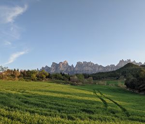 Preview wallpaper rocks, field, grass, trees, landscape