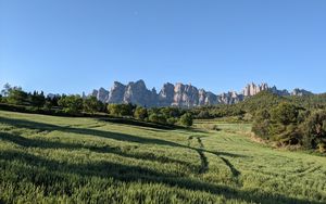 Preview wallpaper rocks, field, trees, landscape
