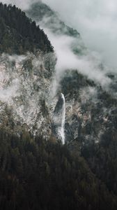 Preview wallpaper rocks, fog, trees, spruce, clouds