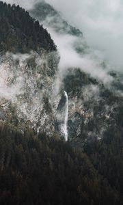 Preview wallpaper rocks, fog, trees, spruce, clouds