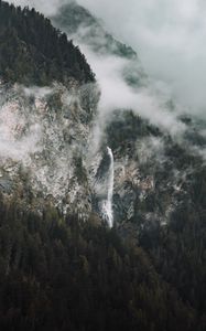 Preview wallpaper rocks, fog, trees, spruce, clouds