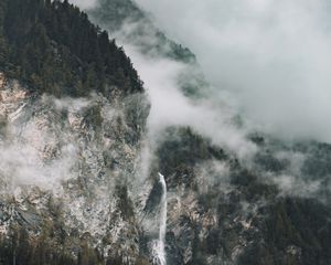 Preview wallpaper rocks, fog, trees, spruce, clouds