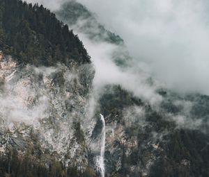 Preview wallpaper rocks, fog, trees, spruce, clouds