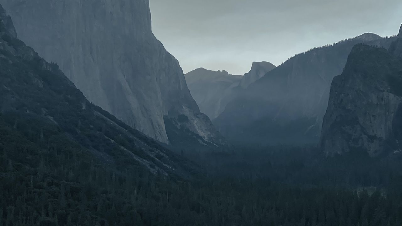 Wallpaper rocks, fog, trees, nature