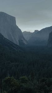 Preview wallpaper rocks, fog, trees, nature