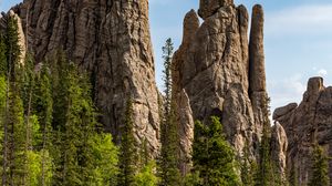 Preview wallpaper rocks, forest, trees, nature