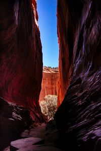 Preview wallpaper rocks, gorge, canyon, landscape