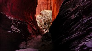 Preview wallpaper rocks, gorge, canyon, landscape