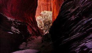 Preview wallpaper rocks, gorge, canyon, landscape