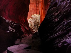 Preview wallpaper rocks, gorge, canyon, landscape