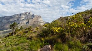Preview wallpaper rocks, grass, nature, landscape
