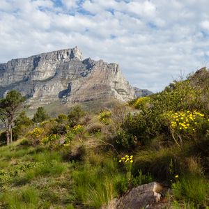 Preview wallpaper rocks, grass, nature, landscape