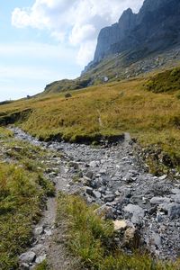 Preview wallpaper rocks, hill, grass, path, stones, nature