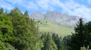 Preview wallpaper rocks, hill, slope, trees, landscape