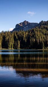 Preview wallpaper rocks, lake, spruce, trees, reflection