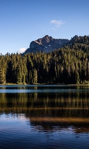 Preview wallpaper rocks, lake, spruce, trees, reflection