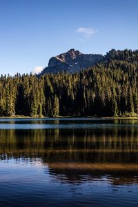 Preview wallpaper rocks, lake, spruce, trees, reflection