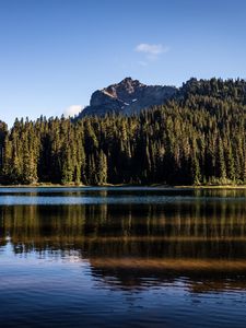 Preview wallpaper rocks, lake, spruce, trees, reflection