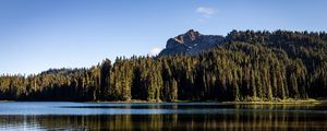 Preview wallpaper rocks, lake, spruce, trees, reflection