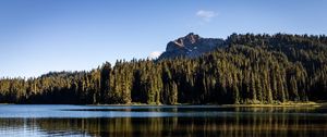 Preview wallpaper rocks, lake, spruce, trees, reflection