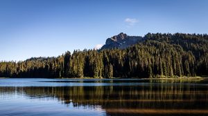 Preview wallpaper rocks, lake, spruce, trees, reflection