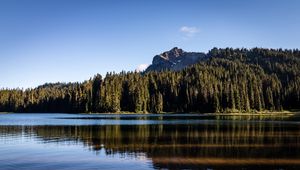 Preview wallpaper rocks, lake, spruce, trees, reflection