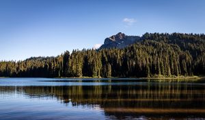 Preview wallpaper rocks, lake, spruce, trees, reflection