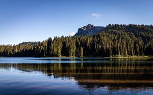 Preview wallpaper rocks, lake, spruce, trees, reflection