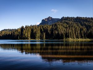 Preview wallpaper rocks, lake, spruce, trees, reflection