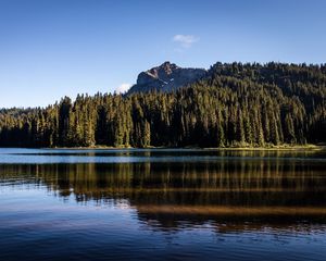 Preview wallpaper rocks, lake, spruce, trees, reflection