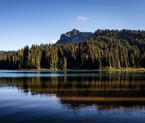Preview wallpaper rocks, lake, spruce, trees, reflection