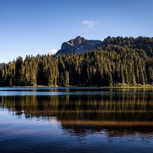 Preview wallpaper rocks, lake, spruce, trees, reflection