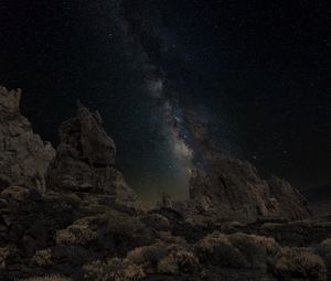 Preview wallpaper rocks, milky way, bushes, night, dark
