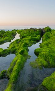 Preview wallpaper rocks, moss, sea, horizon, sky