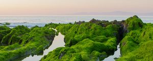 Preview wallpaper rocks, moss, sea, horizon, sky