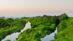 Preview wallpaper rocks, moss, sea, horizon, sky