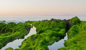 Preview wallpaper rocks, moss, sea, horizon, sky