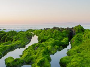 Preview wallpaper rocks, moss, sea, horizon, sky