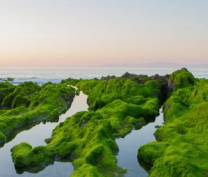 Preview wallpaper rocks, moss, sea, horizon, sky