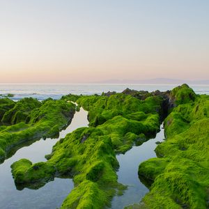 Preview wallpaper rocks, moss, sea, horizon, sky