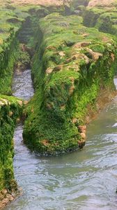 Preview wallpaper rocks, moss, water, river, greens