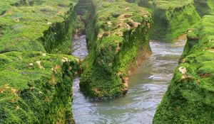 Preview wallpaper rocks, moss, water, river, greens