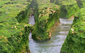 Preview wallpaper rocks, moss, water, river, greens