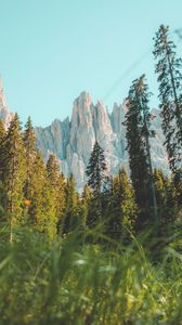 Preview wallpaper rocks, mountain, peak, trees, grass