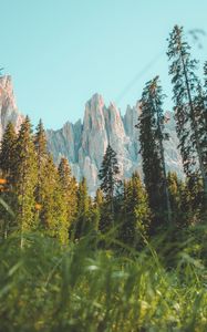 Preview wallpaper rocks, mountain, peak, trees, grass