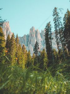 Preview wallpaper rocks, mountain, peak, trees, grass