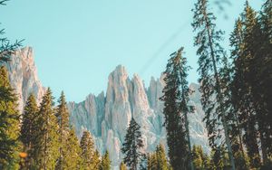 Preview wallpaper rocks, mountain, peak, trees, grass