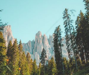 Preview wallpaper rocks, mountain, peak, trees, grass