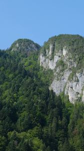 Preview wallpaper rocks, mountains, cliff, trees, landscape